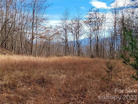 Lot 198 Cherry Hill, Mill Spring, NC 28756