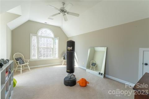 18830 Dembridge Dr, Davidson, NC 28036 photo 13
