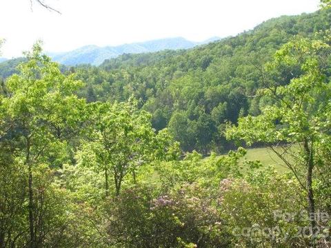 3 Chimney Top Trail, Bryson City, NC 28713