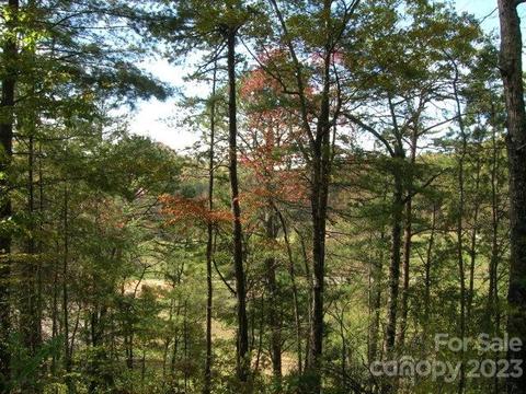Martins Run, Bryson City, NC 28713