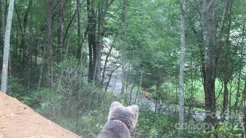Mccracken Road, Bryson City, NC 28713