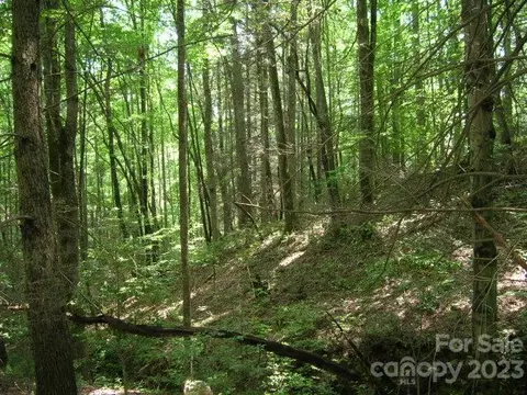 Sunkota Trail, Bryson City, NC 28713