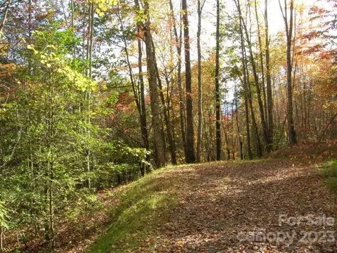 Thomas Divide Way, Bryson City, NC 28713