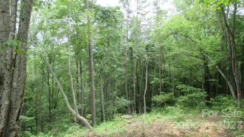 Deeplow Gap, Bryson City, NC 28713