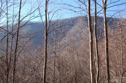 298 Winding Creek Dr #298, Waynesville, NC 28786