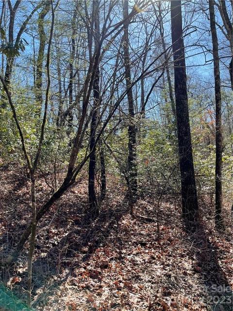 Renea Drive, Brevard, NC 28712 photo 3