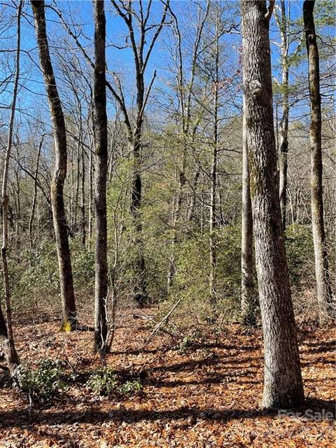 Renea Drive, Brevard, NC 28712 photo 4