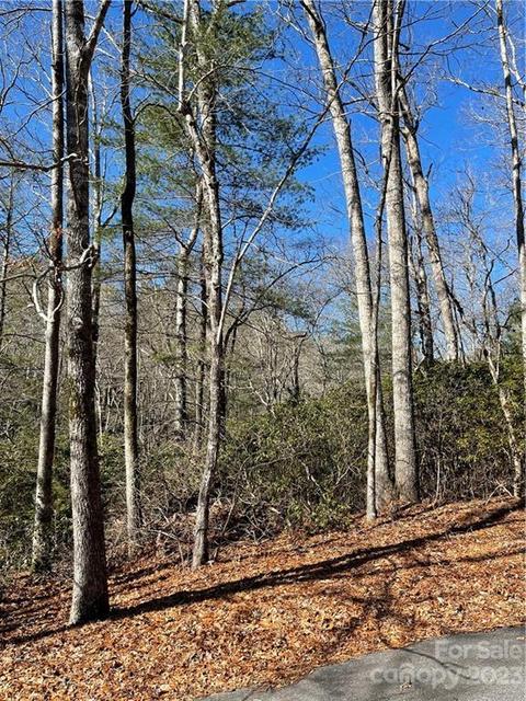Renea Drive, Brevard, NC 28712