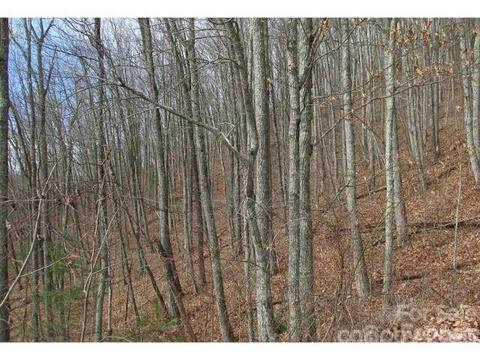 0 Enchanted Forest Dr, Sylva, NC 28779 photo 2