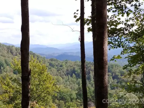 Thomas Divide Way, Bryson City, NC 28713