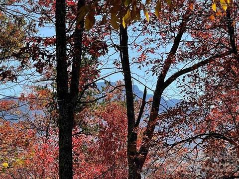 145 Little Boulder Ln, Seven Devils, NC 28604 photo 2