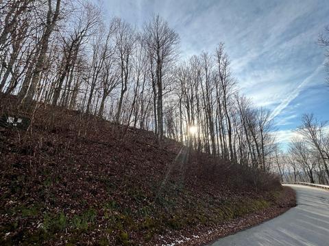 Tbd Wolf Ridge Road, Mars Hill, NC 28754