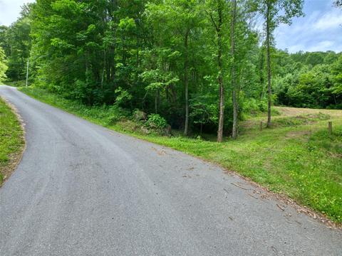 000 Sugar Cove Rd #8, Clyde, NC 28721