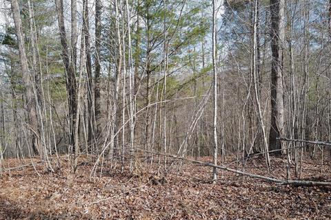 000 View Dr, Spruce Pine, NC 28777 photo 4