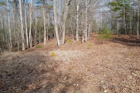 000 View Dr, Spruce Pine, NC 28777 photo 8