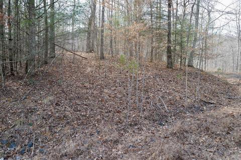 000 View Dr, Spruce Pine, NC 28777 photo 7