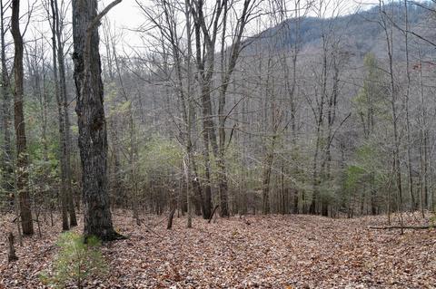000 View Dr, Spruce Pine, NC 28777 photo 12