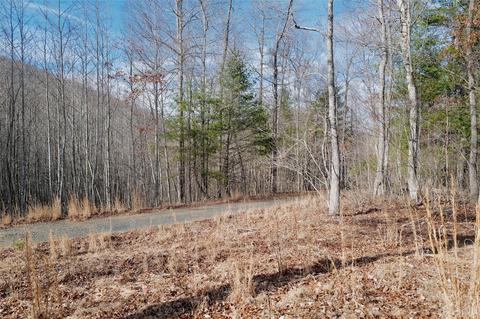 000 View Dr, Spruce Pine, NC 28777 photo 3