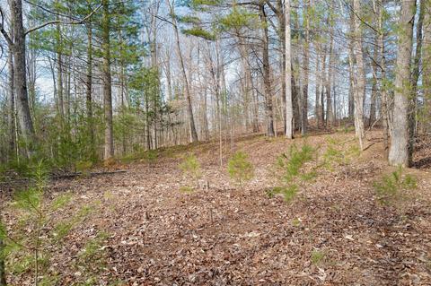 000 View Dr, Spruce Pine, NC 28777 photo 9
