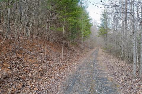 000 View Dr, Spruce Pine, NC 28777 photo 13