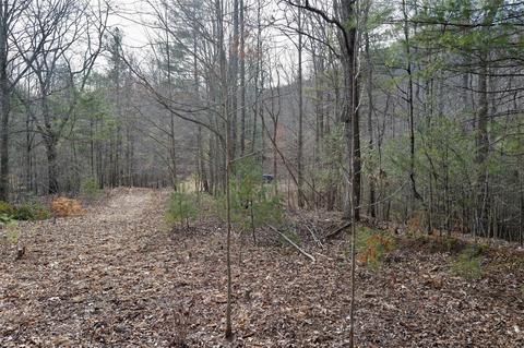 000 View Dr, Spruce Pine, NC 28777 photo 10
