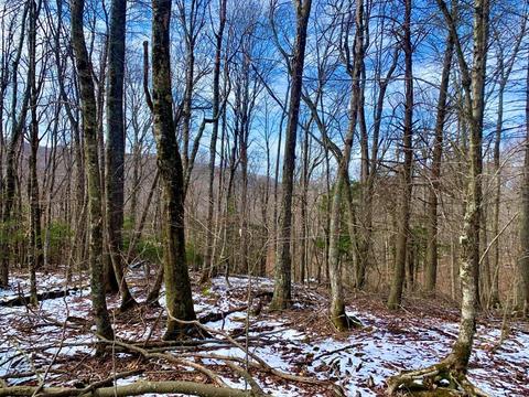 135 Greenbriar Rd, Beech Mountain, NC 28604 photo 5