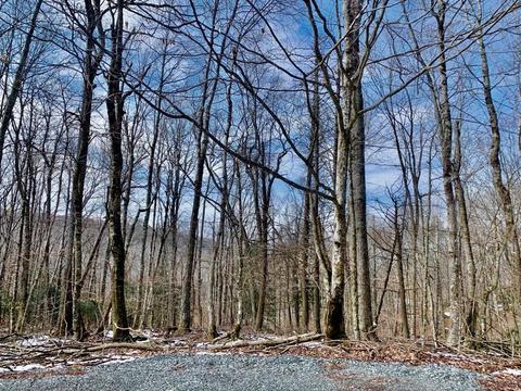 135 Greenbriar Rd, Beech Mountain, NC 28604 photo 7