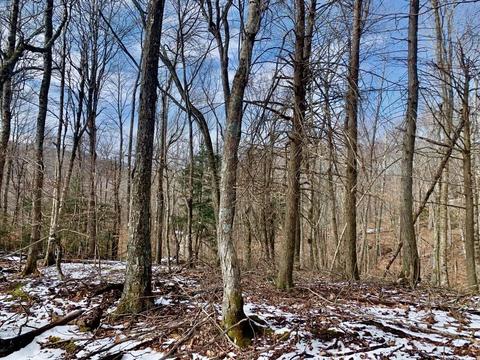 135 Greenbriar Rd, Beech Mountain, NC 28604 photo 3