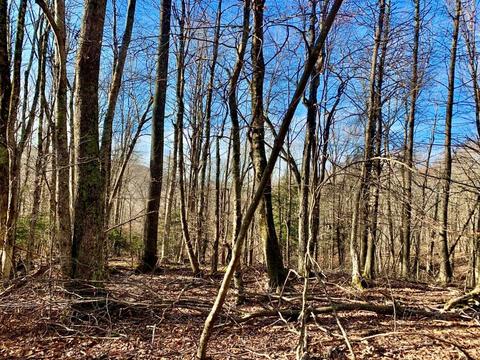 135 Greenbriar Rd, Beech Mountain, NC 28604 photo 12