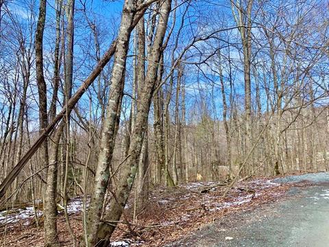 135 Greenbriar Rd, Beech Mountain, NC 28604 photo 6