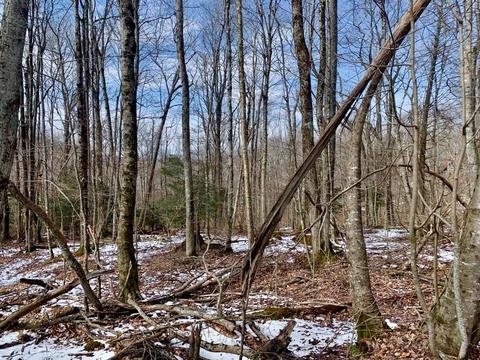 135 Greenbriar Rd, Beech Mountain, NC 28604 photo 2