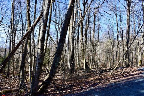 135 Greenbriar Rd, Beech Mountain, NC 28604 photo 13