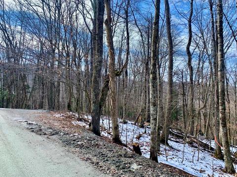 135 Greenbriar Rd, Beech Mountain, NC 28604 photo 4