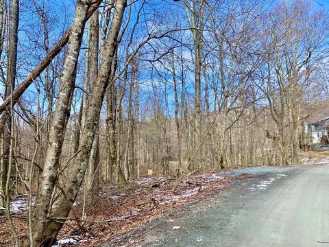135 Greenbriar Rd, Beech Mountain, NC 28604 photo 11
