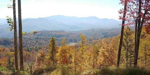 Pasture View Trail, Bryson City, NC 28713