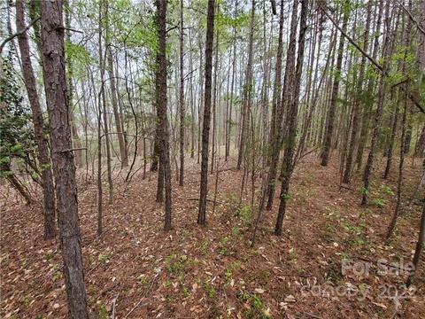 Forest Lawn Drive, Matthews, NC 28104