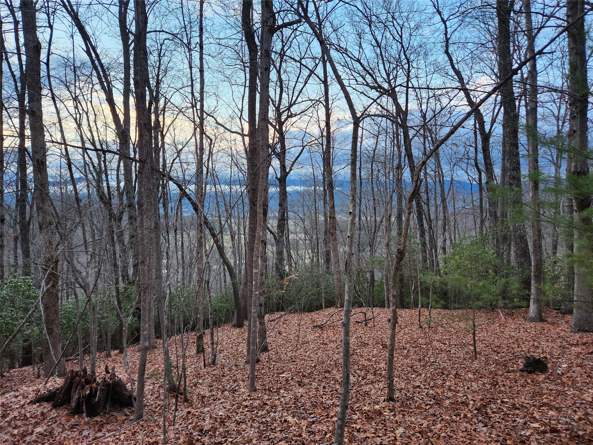 2 Paisley Lane Unit Lot 2