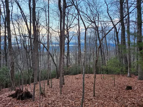 Paisley Lot 2 Lane LOT 2, Pisgah Forest, NC 28768