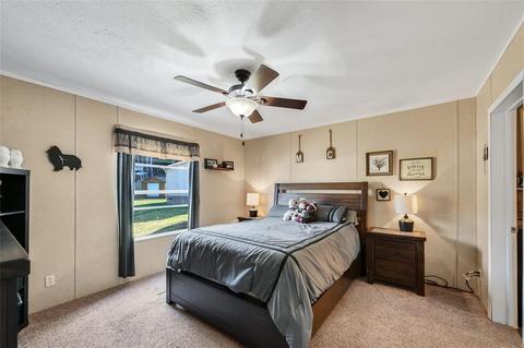 874 Bee Tree Rd, Swannanoa, NC 28778 photo 9