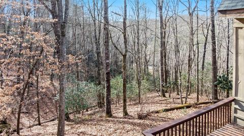 49 51 Mayapple Ln, Brevard, NC 28712 photo 34