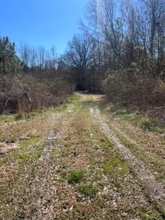3484 Thompson Rd, Lancaster, SC 29720 photo 17