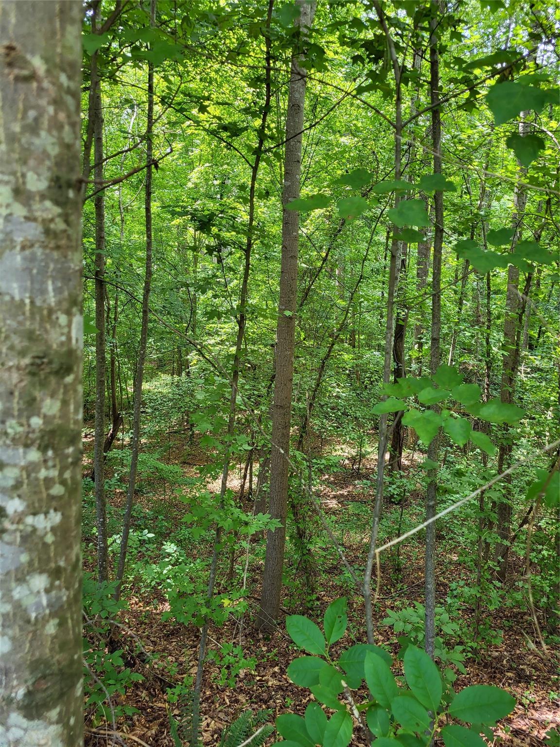 Weatherwood 22 Dr Unit 22  