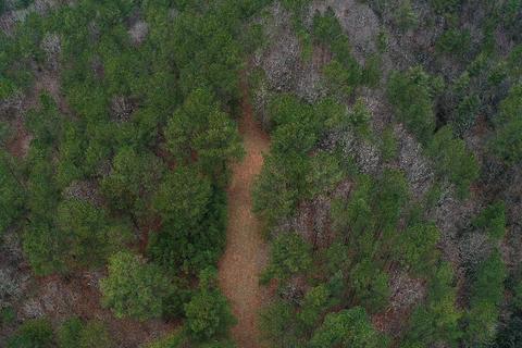 Forest Hills Drive, Mill Spring, NC 28756 photo 11