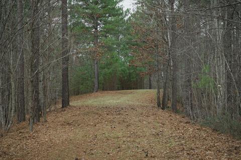 Forest Hills Drive, Mill Spring, NC 28756 photo 6