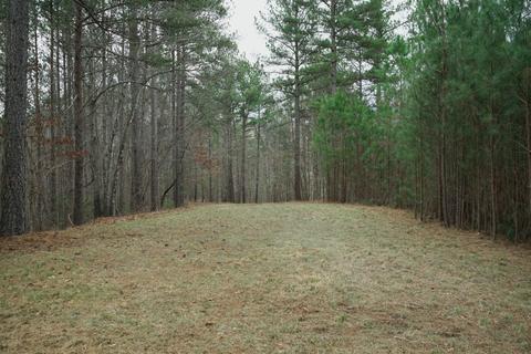 Forest Hills Drive, Mill Spring, NC 28756 photo 8