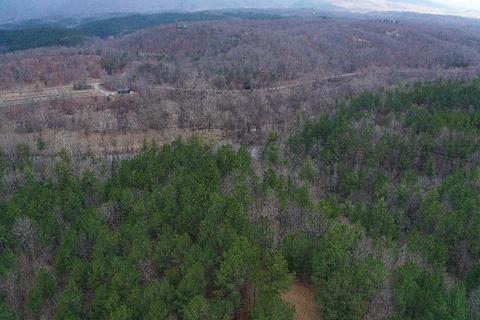 Forest Hills Drive, Mill Spring, NC 28756 photo 10
