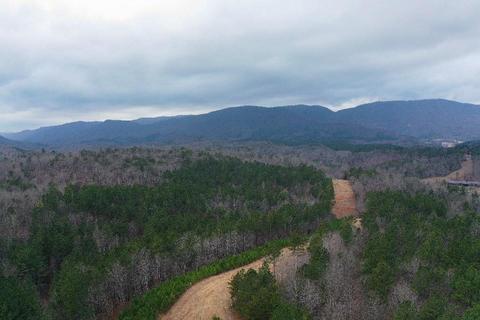 Forest Hills Drive, Mill Spring, NC 28756 photo 2