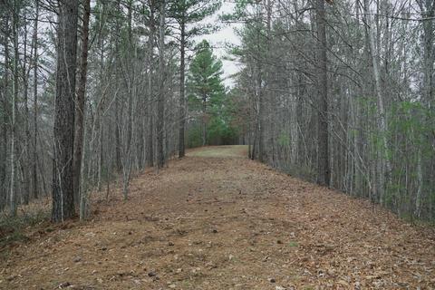 Forest Hills Drive, Mill Spring, NC 28756 photo 4