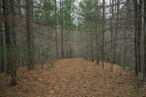 Forest Hills Drive, Mill Spring, NC 28756 photo 7