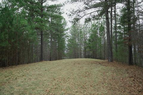 Forest Hills Drive, Mill Spring, NC 28756 photo 5